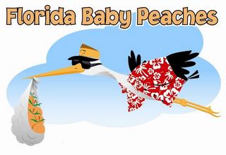 FLORIDA BABY PEACHES trademark