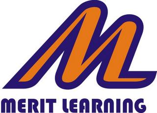 M MERIT LEARNING trademark