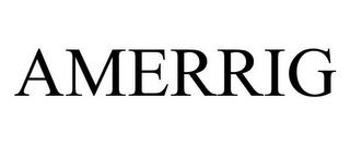 AMERRIG trademark