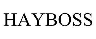 HAYBOSS trademark