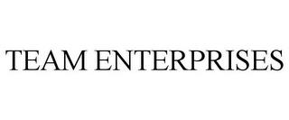 TEAM ENTERPRISES trademark