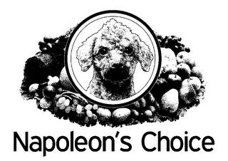 NAPOLEON'S CHOICE trademark