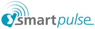 DS SMARTPULSE trademark