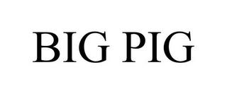 BIG PIG trademark