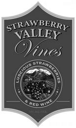 STRAWBERRY VALLEY VINES LUSCIOUS STRAWBERRIES & RED WINE 14% ALC./VOL trademark