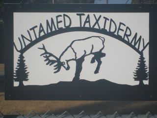 UNTAMED TAXIDERMY trademark