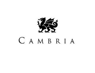 CAMBRIA trademark