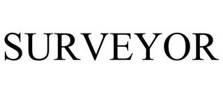 SURVEYOR trademark