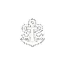 STS trademark