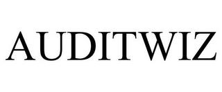 AUDITWIZ trademark