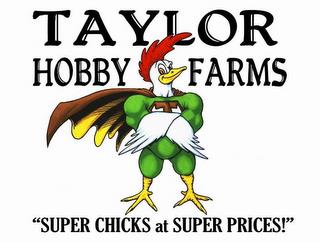 TAYLOR HOBBY FARMS "SUPER CHICKS AT SUPER PRICES!" trademark