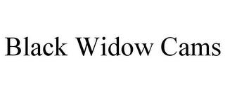 BLACK WIDOW CAMS trademark