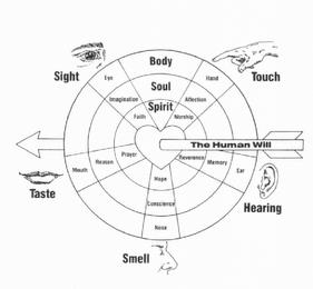 BODY SOUL SPIRIT TOUCH HAND AFFECTION WORSHIP HEARING EAR MEMORY REVERENCE SMELL NOSE CONSCIENCE HOPE TASTE MOUTH REASON PRAYER SIGHT EYE IMAGINATION FAITH THE HUMAN WILLRSHIP HEARING EAR MEMORY REVERENCE SMELL NOSE CONSCIENCE HOPE TASTE MOUTH REASON PRAYER SIGHT EYE IMAGINATION FAITH THE HUMAN WILL trademark