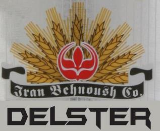 IRAN BEHNOUSH CO. DELSTER trademark