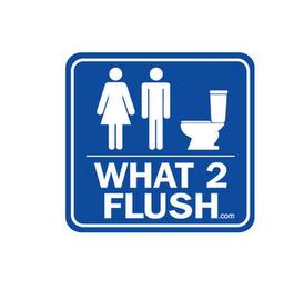 WHAT 2 FLUSH.COM trademark