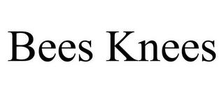 BEES KNEES trademark