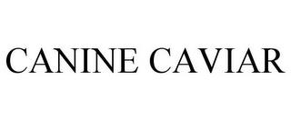 CANINE CAVIAR trademark