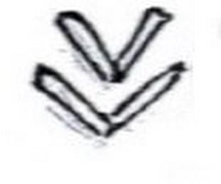 VV trademark