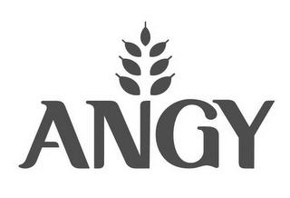 ANGY trademark