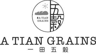 A TIAN GRAINS trademark