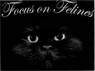 FOCUS ON FELINES trademark