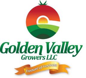 G GOLDEN VALLEY GROWERS LLC TREASURE OF FRESHNESS trademark