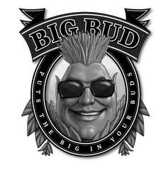 BIG BUD trademark