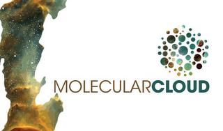 MOLECULARCLOUD trademark