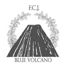 F.C.J. BLUE VOLCANO trademark