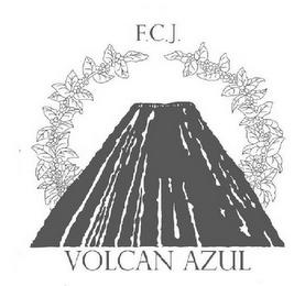 F.C.J. VOLCAN AZUL trademark