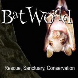 BAT WORLD RESCUE, SANCTUARY, CONSERVATION trademark