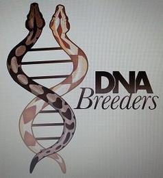 DNA BREEDERS trademark