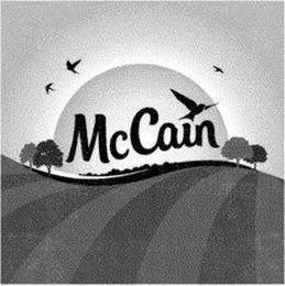 MCCAIN trademark