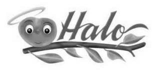 HALO trademark