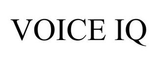 VOICE IQ trademark