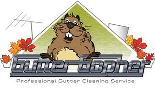 GUTTER GOPHER PROFESSIONAL CLEANING SERVICE trademark