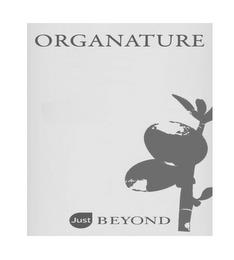 JUST BEYOND ORGANTURE trademark