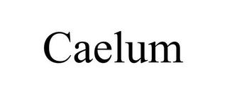 CAELUM trademark