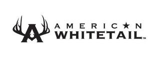 A AMERICAN WHITETAIL trademark