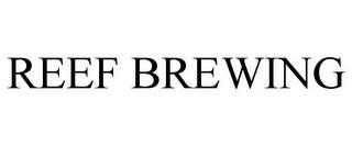 REEF BREWING trademark