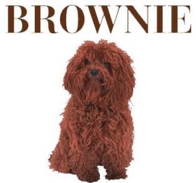 BROWNIE trademark