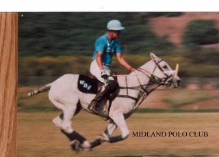 MIDLAND POLO CLUB trademark