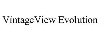 VINTAGEVIEW EVOLUTION trademark