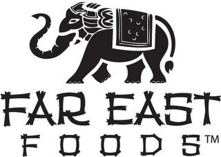 FAR EAST FOODS trademark