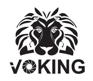 VOKING trademark