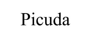 PICUDA trademark