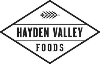 HAYDEN VALLEY FOODS trademark