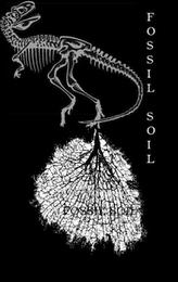 FOSSIL SOIL trademark