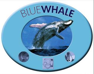 BLUE WHALE trademark