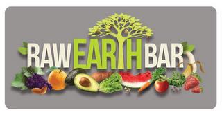 RAW EARTH BAR trademark